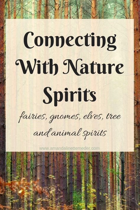 Connecting With Nature, Green Witchcraft, Earth Spirit, Eclectic Witch, Nature Spirits, Photography Summer, Fairy Magic, Spells Witchcraft, Nature Tree