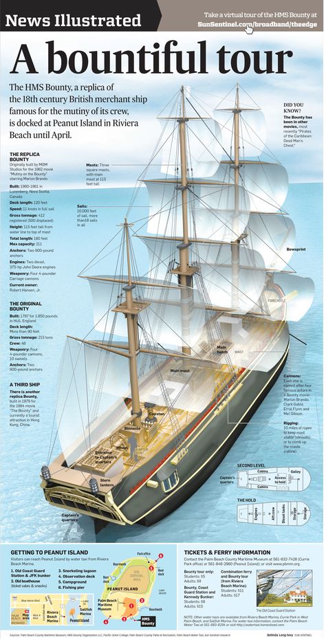 HMS Bounty Ship infographic detailing the replica of the 18th century British merchant ship famous for the mutiny of its crew. Royal Navy Ships 18th Century, 18th Century Ship, Ship Infographic, Infographic Diagram, Hms Bounty, Merchant Ship, Model Boats Building, Pirate History, Sailing Ship Model