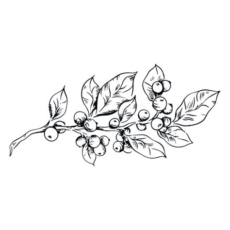 Mistletoe plant balck and white illustration #AD , #plant, #Mistletoe, #white, #illustration, #balck Mistletoe Drawing, Mistletoe Plant, Dallas Tattoo, Pastel Wedding Invitations, Floral Back Tattoos, State Tattoos, Bullet Journal Notes, White Illustration, Head Tattoos