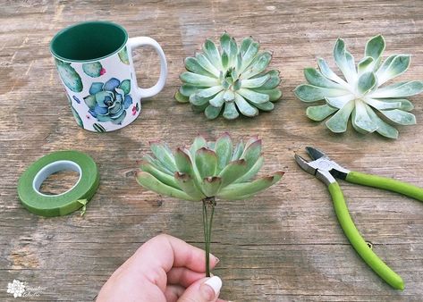 DIY Succulent Bouquet in Mason Jar Mugs! | The Succulent Eclectic Diy Succulents Centerpiece, Mason Jar Succulents, Succulent Christmas, Fake Flowers Decor, Mason Jar Mugs, Bouquet Tutorial, Valentine Bouquet, Cactus Diy, Succulent Cuttings