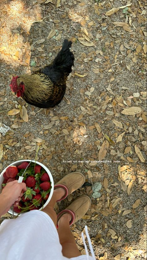 Nature, Farm Life Pictures, Dream Farm Aesthetic, Farm Family Asethic, Farm Life With Family, Rich Farm Life Aesthetic, English Farm Aesthetic, Organic Farm Aesthetic, Life On A Farm