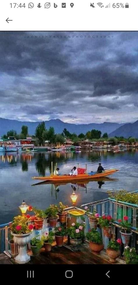 Kashmir Tourism, Kashmir Trip, Dal Lake, Travel Destinations In India, Amazing India, Kashmir India, India Tour, Srinagar, Jammu And Kashmir