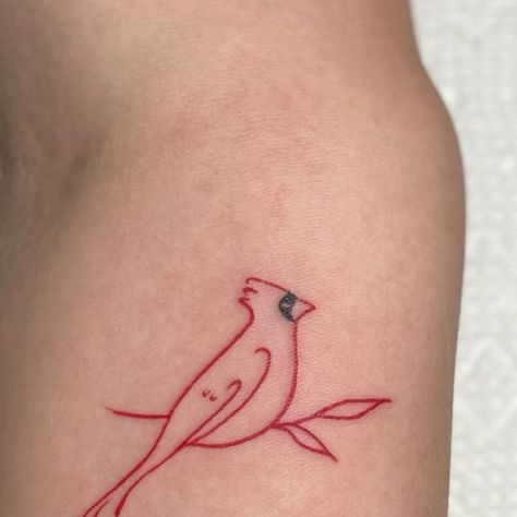 SavG Ink on Instagram: "Check out this lil guy #cardinaltattoo" Blue Jay Cardinal Tattoo, Cute Cardinal Drawing, Geometric Cardinal Tattoo, Cardinal Tattoo Fine Line, Kami Tattoo, Small Cardinal Tattoos For Women, Minimalist Cardinal Tattoo, Simple Cardinal Tattoo, Flying Cardinal Tattoo