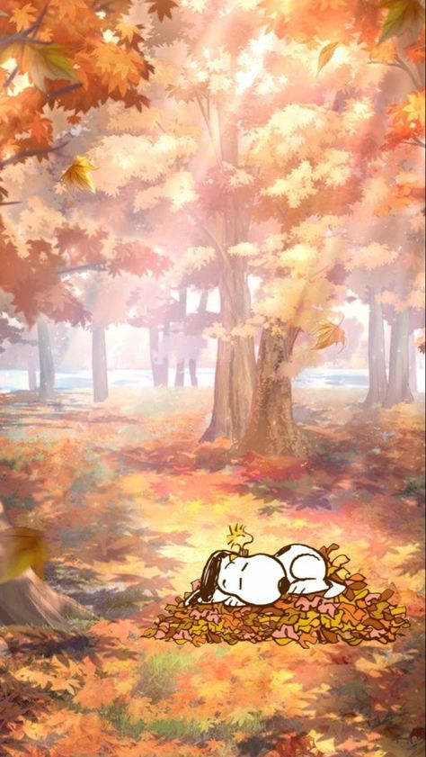 Snoopy Drops Wallpaper, Totoro Fall Wallpaper, Snoopy Great Pumpkin Wallpaper, Fall Aesthetic Wallpaper Leaves, Studio Ghibli Fall Wallpaper, Snoopy Holiday Wallpaper, Snoopy Lockscreen Iphone, Fall Trees Wallpaper, Snoopy Fall Wallpaper Iphone