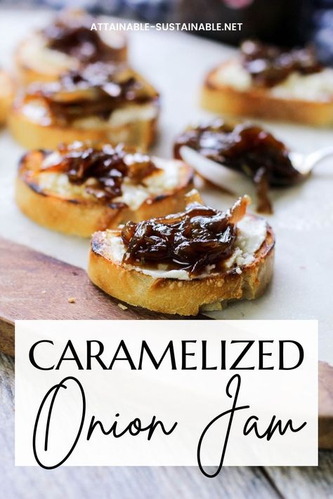 Caramelized onion jam on baguette slices Preserve Onions, Caramelized Onion Jam, Onion Jam Recipe, Homemade French Onion Dip, Bacon Jam Recipe, Balsamic Vinegar Recipes, Savory Jam, Balsamic Onions, Gourmet Appetizers