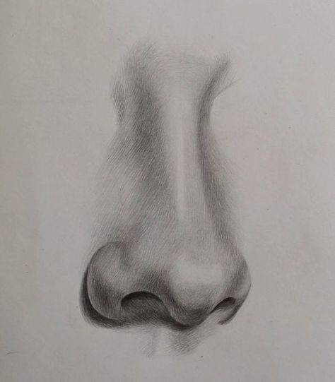 Realism in Pencil Drawing: Pro-Level Tips and Tricks ✅(Follow This Link)✅ Pencil Drawing Techniques, Drawing Nose, Iphone Diy, Nose Drawing, Ideas Videos, 얼굴 그리기, Diy Products, Beauty Art Drawings, Phone Hacks