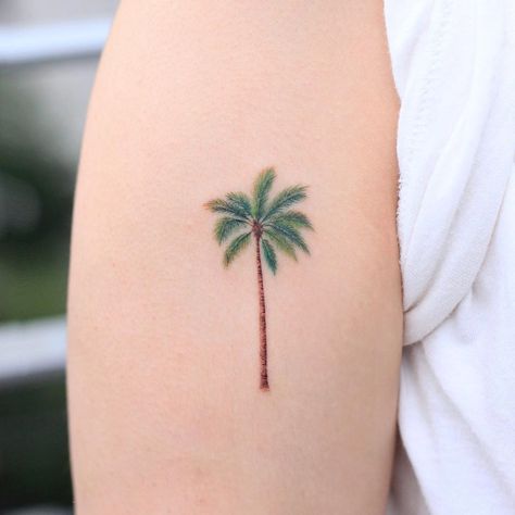 Small Tropical Tattoo, Tree Tattoo Color, Palm Tree Tattoo Ankle, Tree Tat, Leopard Print Tattoos, Small Lion Tattoo, Pencil Tattoo, Pet Tattoos, Africa Tattoos