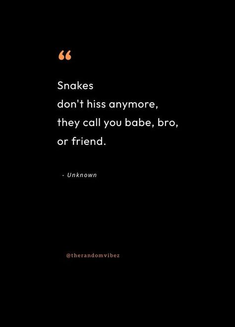 Snake In The Grass Quotes, Quotes About Snakes, Grass Quotes, Snakes In The Grass, Snake Quotes, Snake In The Grass, Fake People, Fake Friends, Personal Quotes