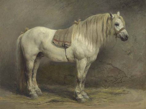 Rosa Bonheur - A White Horse, 1866, oil on canvas Horse Paintings, Painted Horses, Horse Art Print, Personalized Map Art, Jackson's Art, Blossoms Art, Equine Art, White Horses, Animals Artwork