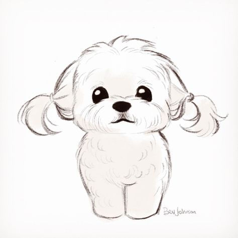 April/May 2021 Character Design & Illustration on Behance Poodle Drawing, Bev Johnson, Dog Drawing Simple, Cute Dog Drawing, Dog Sketch, Cute Sketches, 강아지 그림, Pets Drawing, Cute Doodles Drawings