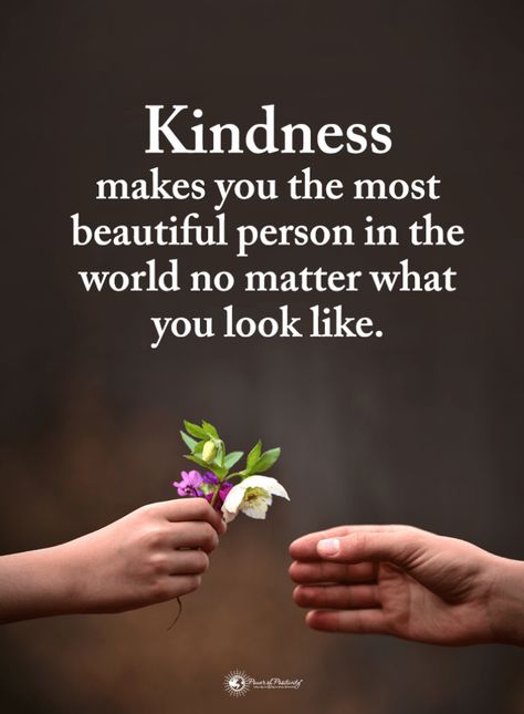 Kindness Quotes Kindness makes you the most beautiful person in the world no matter what you look like. Love Anniversary Quotes, Kindness Quotes, Power Of Positivity, Morning Inspirational Quotes, Good Thoughts Quotes, Good Life Quotes, Beautiful Person, Reality Quotes, No Matter What