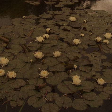 Brown Aesthetic Dark, Take Me To The Lakes, Aesthetic Brown, Dark Green Aesthetic, Aesthetic Dark, Brown Aesthetic, Green Aesthetic, Poets, Dark Aesthetic