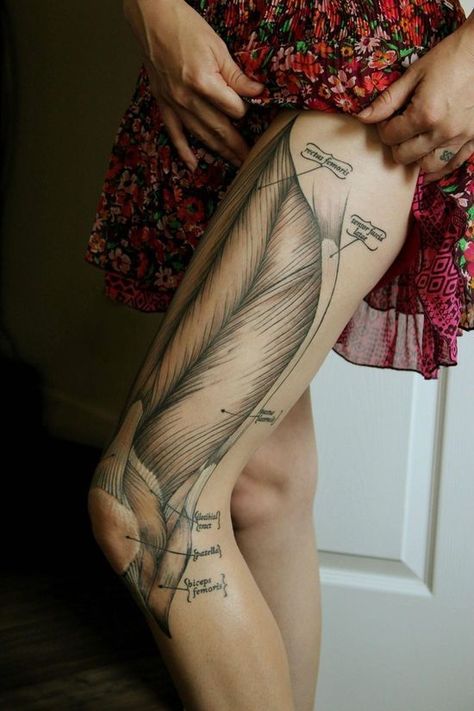 Show people what you’re made of… literally. Biomech Tattoo, Anatomical Tattoos, Anatomy Tattoo, Science Tattoo, Girl Thigh Tattoos, Medical Tattoo, Thigh Tattoo Designs, Muscle Tattoo, Illustration Tattoo