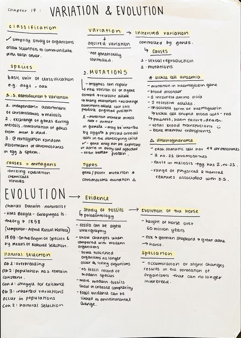 #neatnotes #neathandwriting #aestheticnotes #biologynotes #variation #evolution #genetics Genetics And Evolution Notes, Variation Biology Notes, Biology Notes Genetics, Evolution Notes Biology, Genetics Notes Biology, Bio Diagrams, Evolution Notes, Genetics Notes, Microbiology Aesthetic