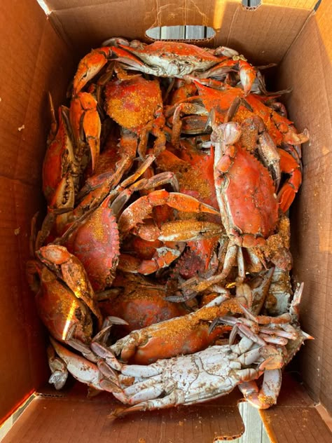 Crab Aesthetic, Blue Crab Recipes, Crab Feast, Maryland Blue Crab, Blue Crabs, Crab House, Maryland Crabs, Cooking The Perfect Steak, Western Background