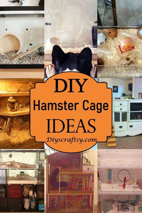 17 DIY Hamster Cage Ideas You Can Make At Home Hamster Cage Ideas Tanks, Hampster Cage, Diy Hamster Cage, Big Hamster Cages, Syrian Hamster Cages, Diy Hamster House, Hamster Cage Ideas, Hamster Tank, Diy Hamster Toys