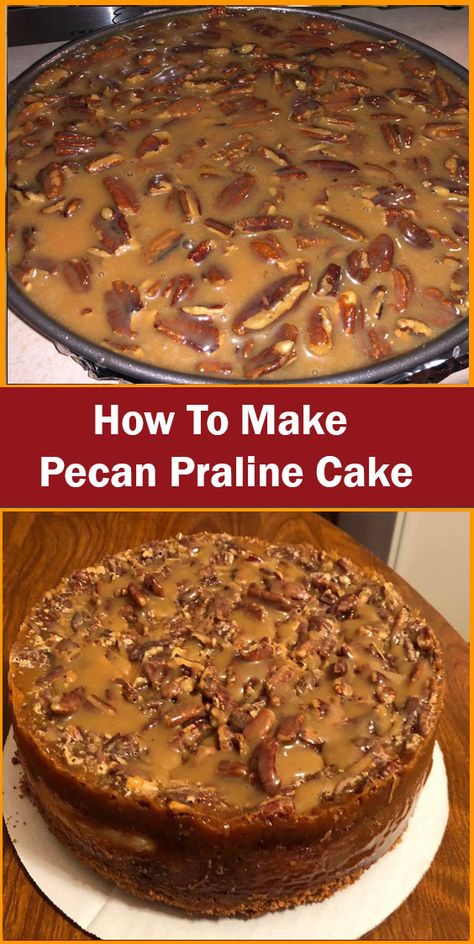 Southern Praline Cake, Pecan Praline Cake, Pecan Recipe, Southern Praline, Living Foods, Mouthwatering Desserts, Brown Sugar Cakes, Praline Cake, Healthy Cakes