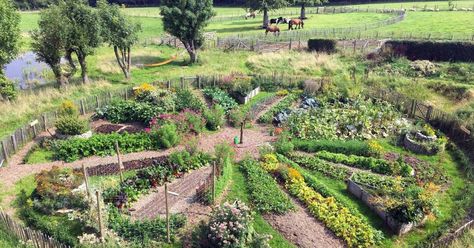 En Belgique, cette ferme bio abrite un magnifique potager en forme de mandala. 25 photos sublimes. Mandala Garden, Permaculture Principles, Container Herb Garden, Persian Garden, Florida Gardening, Fall Garden Vegetables, Permaculture Gardening, Permaculture Design, Garden Arbor