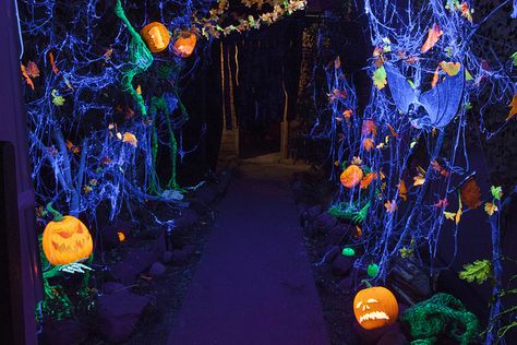 Black Light Forest Overall Shot                                                                                                                                                                                 More Blacklight Halloween, Outside Halloween Decorations, Light Forest, Halloween Maze, Glow Halloween, Casa Halloween, Yard Haunt, Halloween Inflatables, Halloween Yard Decorations