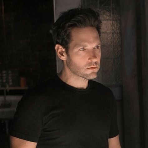 Scott Lang Icon, Marvel Scrapbook, Ant Man Scott Lang, Mcu Characters, Mcu Dr, Scott Lang, Marvel Icons, Paul Rudd, Man Icon