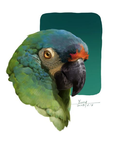 Color Study Reference, Digital Art Portrait, Bird Portrait, Parrot Art, Beautiful Digital Art, Adoption Photos, Color Study, About Animals, Art Studies