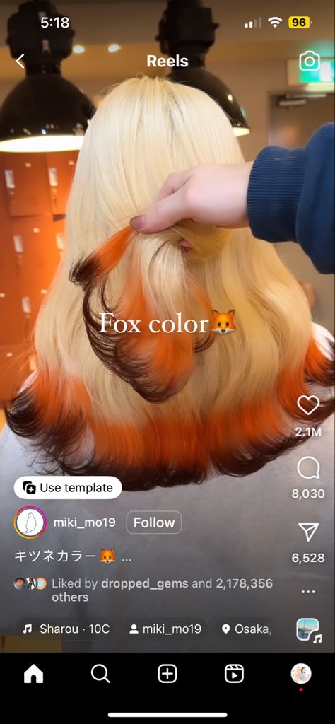 Fox Color Hair, Dyed Ends Of Hair, Fox Hair Dye, Dipped Hair, Dyed Tips, Hair Dye Tips, Fox Hair, Fire Hair, Dip Dye Hair