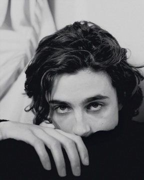 Kampot, Timmy T, Regulus Black, The Perfect Guy, Timothee Chalamet, Fav Celebs, Look At You, New Yorker, Celebrity Crush