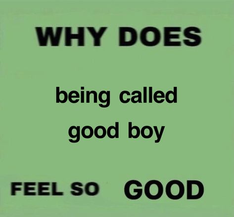 Trans Boys, Inappropriate Thoughts, I Love My Girlfriend, Love My Boyfriend, Good Boy, Dirty Mind, Silly Me, Hopeless Romantic, Literally Me