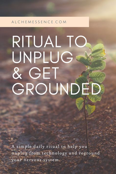 Grounding Meditation, Energy Cleansing, Energetic Body, Grounding Techniques, Conscious Awareness, Energy Cleanse, Life Help, Modern Witch, Healing Arts