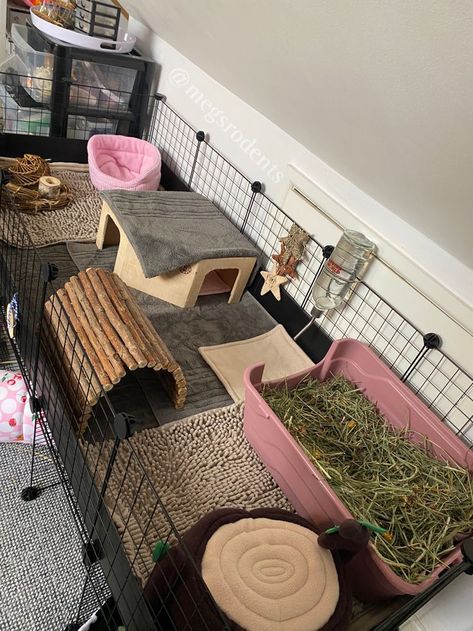 Pink Guinea Pig Cage, Gineau Pig Cage Ideas Diy, Guine Pig Cage Ideas, Guenia Pig Cages, Guinea Pig C&c Cage Ideas, Ginny Pigs Cages, Guinea Pig Cage Ideas Aesthetic, Guinea Pig Room Ideas, C C Cage Guinea Pigs Ideas