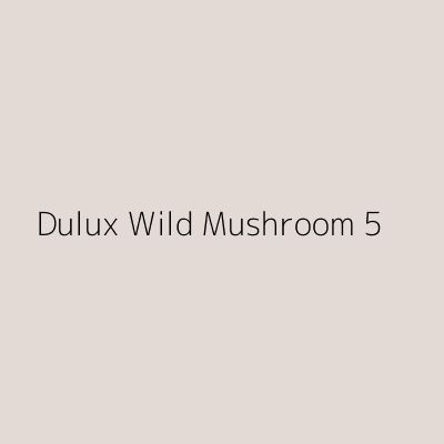 Mushroom Coloured Walls, Dulux Mushroom Paint, Dulux Warm Neutrals, Mushroom Color Paint, Hall Colours, 2021 Paint Color Trends, Dulux Heritage Colours, Landing Window, Heritage Colours