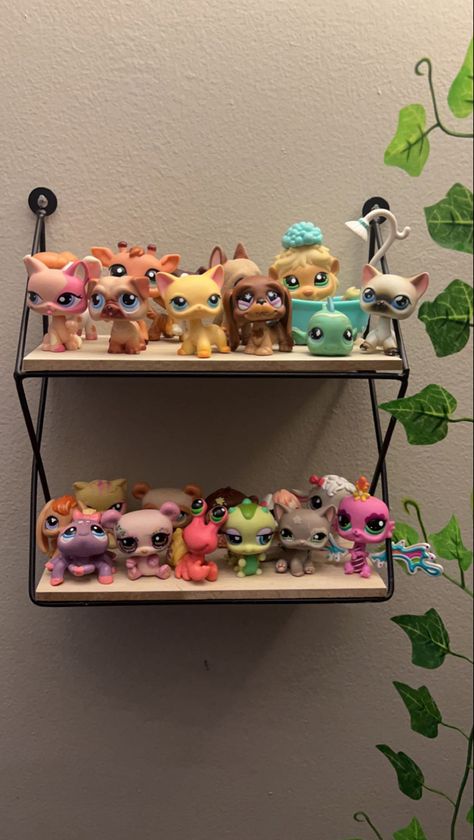 Littlest Pet Shop Display Ideas, Lps Display Ideas, Lps Doll House, Littlest Pet Shop Display, Lps Room Ideas, Littlest Pet Shop Tattoo, Lps Display, My Littlest Pet Shop, Lps Aesthetic