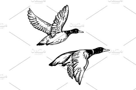 Flying ducks engraving vector illustration by AlexArt on @creativemarket Spades Tattoo, Ace Of Spades Tattoo, Fly Drawing, Duck Tattoos, Flying Ducks, Hunting Tattoos, Flying Duck, Duck Illustration, Flying Tattoo