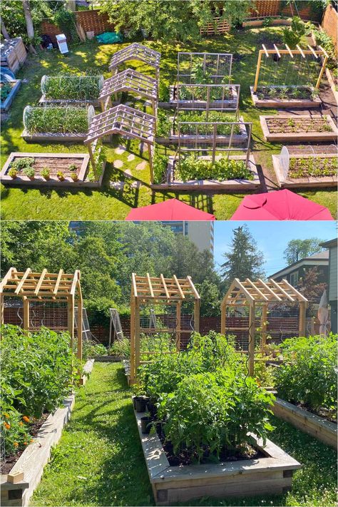 25 best vegetable garden design ideas & easy layout plans for beginners & pros to grow your own food in a front or backyard edible landscape. - A Piece of Rainbow, kitchen garden, vegetable gardening ideas, small space tips, grow your own food, herbs, homestead, homesteading, spring, summer, raised beds, trellis, greenhouse, DIY Permaculture, Large Garden Design, Front Yard Vegetable Garden, Alabama Garden, Outdoor Trellis Ideas, Fruit Garden Layout, Raised Bed Garden Layout, Future Background, Veggie Garden Layout