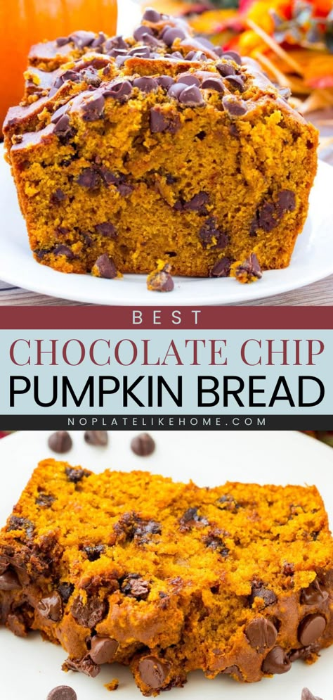 Learn how to make the Best Chocolate Chip Pumpkin Bread! This deliciously baked pumpkin recipe is moist, full of pumpkin spice flavors with melted chocolate chips inside! It's one of the best pumpkin sweets! Pumpkin Chocolate Chip Spice Cake, Brown Butter Chocolate Pumpkin Bread, White Chocolate Chip Pumpkin Bread, Great Harvest Pumpkin Chocolate Chip, Brown Butter Chocolate Chip Pumpkin Loaf, Dark Chocolate Pumpkin Bread, Pumpkin Chocolate Chip Biscotti, Brown Butter Chocolate Chip Pumpkin Bread, Sourdough Discard Pumpkin Chocolate Chip Bread