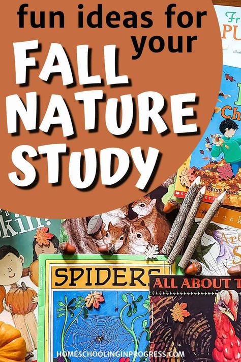 Leaves Unit Study, Pumpkin Nature Study, Fall Nature Study, Nature Lessons, Homeschool Nature, Fall Science, Homeschool Nature Study, Unit Studies Homeschool, Nature Studies