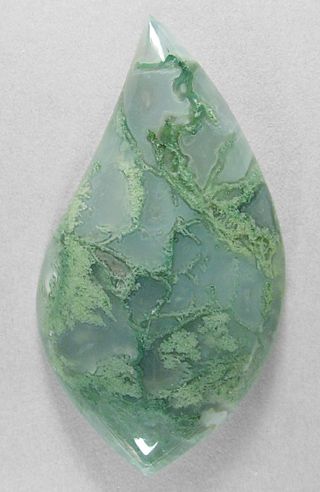 MOSS AGATE spectacular cab! Silverhawk's designer gemstones. Mossy Agate, Biggs Jasper, Agate Art, Rocks And Fossils, Montana Agate, Beautiful Rocks, Rocks And Gems, Minerals And Gemstones, Precious Gems