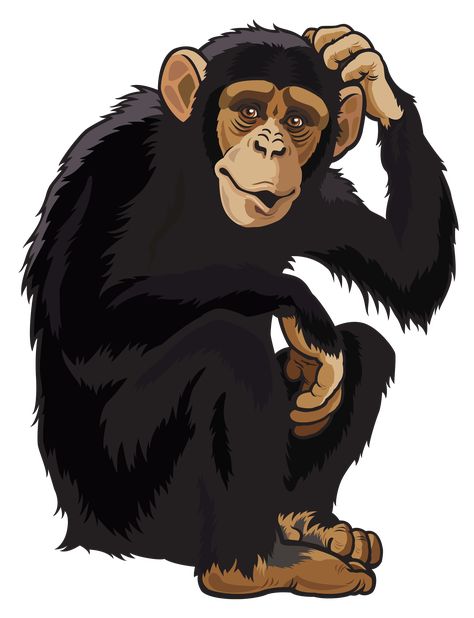 Monkey Png, Monkey Icon, Wild Animals Vector, Monkey Logo, Three Wise Monkeys, Tropical Africa, Sitting Pose, Cartoon Monkey, Year Of The Monkey