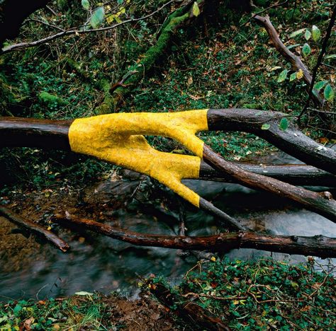 Andy Goldsworthy:::  Wet, yellow elm leaves stick to a smooth, fallen elm tree in Dumfriesshire. (November, 2011) Stonehenge, Environmental Sculpture, Ephemeral Art, Andy Goldsworthy, Elm Tree, Earth Art, Tree Sculpture, Forest Art, Outdoor Sculpture