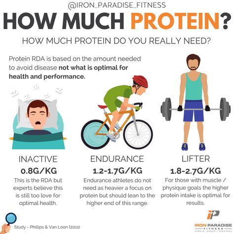 How Much Protein Do I Need, Lean Muscle Workout, Workouts Programs, Protein Deficiency, Iron Paradise, 30 Day Workout Plan, 5k Training Plan, High Protein Foods, Muscle Building Foods