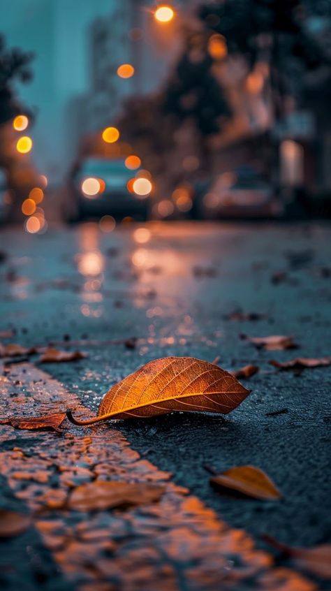 Prompt 👉a leaf laying on the side of a road, a picture, by irakli nadar, city streets, orange light, photo pinterest, split near the left, in the middle of the city, harsh, contraposto, in a row, aykut aydogdu, view from the streets, gold, today\'s featured photograph 8k, contrast light, gorgeous wallpaper, professional photography 👉 if Like, please Follow and Share AI Graphics Studio 👇Contact on WhatsAPP: http://tiny.cc/aigraphicsstudio #aigraphicsstudio #AI #DigitalMarketing #digitalartis... Irakli Nadar, Gorgeous Wallpaper, Photo Pinterest, Rainy Day Aesthetic, Light Photo, City Background, Autumn Scenes, Orange Light, Autumn Scenery