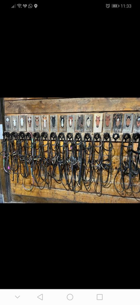 12x12 Tack Room Ideas, Horse Tack Organization Ideas, Western Barn Ideas, Horse Trailer Tack Room Organization, Tack Rooms Ideas, Tack Room Organization Diy, Tack Room Ideas Diy, Tackroom Ideas Equestrian, Horse Tack Room Organization