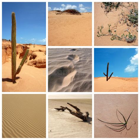 Desert collage. A collage about desert photos , #Sponsored, #collage, #Desert, #photos, #desert #ad Desert Collage, Desert Photos, Sand Landscape, Graphic Arts Illustration, A Collage, Art Illustration, Photo Image, Graphic Art, Illustration Art