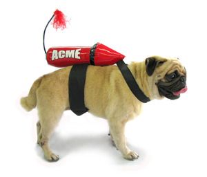 Acme Rocket Dog Costume Made to fit Larger Dogs up to any size Wile E Coyote is on the chase! With the adjustable Velcro harness on the belly and chest for an accurate take off and landing this costume is guaranteed to get plenty of laughs. Firecracker Costume, Big Dog Halloween Costumes, Rocket Costume, Hayward California, Dog Costumes Funny, Puppy Costume, Hallowen Costume, Pet Halloween Costumes, Designer Dog Clothes