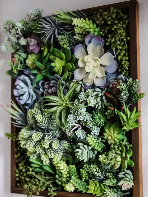 Wall Succulents, Succulents Wall, Succulent Plant Wall, Living Succulent Wall, Entryway Greenery, Framed Bathroom Art, Succulent Wall Indoor, Succulent Wall Decor, Succulent Arrangements Indoor Wall