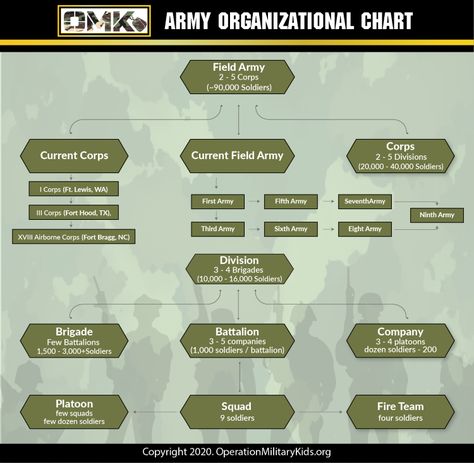 Learn how the US Army is organized, including details on field Army, Corps, Divisions, Brigades, Battalions, Company, Platoon, and Squads / Fire Teams. Army Structure, Us Army Infantry, Air Force Special Operations, Army Divisions, Military Tactics, Army Ranks, Organization Chart, Military Ranks, Army Base