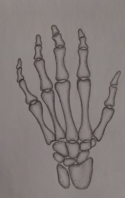 Art Skeleton Drawing, Hand Bones Sketch, Scelotin Drawing Easy, Art Sketches Skeleton, How To Draw Bones, Skeleton Art Easy, How To Draw Skeletons, Pen And Ink Drawings Simple, Bones Drawings