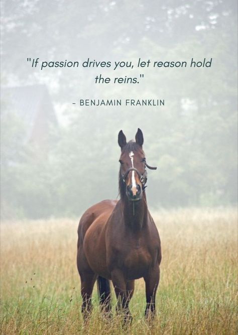 Equine Quotes, Inspirational Horse Quotes, Horse Riding Quotes, Equestrian Quotes, Cowboy Quotes, Racing Quotes, Riding Quotes, Country Girl Quotes, Quotes About Motherhood