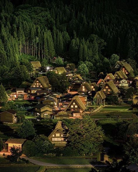 Shirakawago / japan Shirakawago Japan, Shirakawa Go, South Park, Beautiful World, Country House, Travel Photos, Travel Destinations, Places To Go, Places To Visit