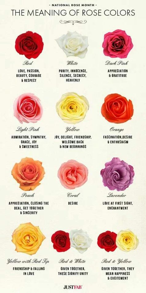 Rose's & their meaning. Meaning Of Roses, Rose Color Meanings, Taman Diy, Rose Colors, Flower Meanings, Color Meanings, Language Of Flowers, Rose Garden, Rose Color